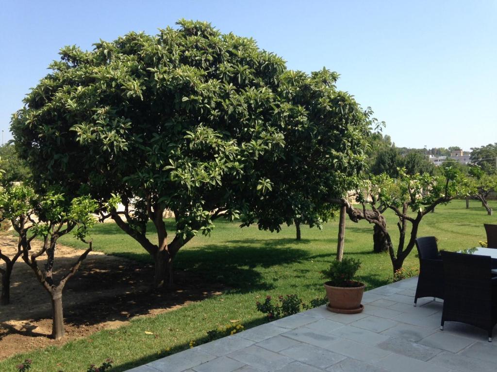 Masseria Carignani Tuglie Exterior foto